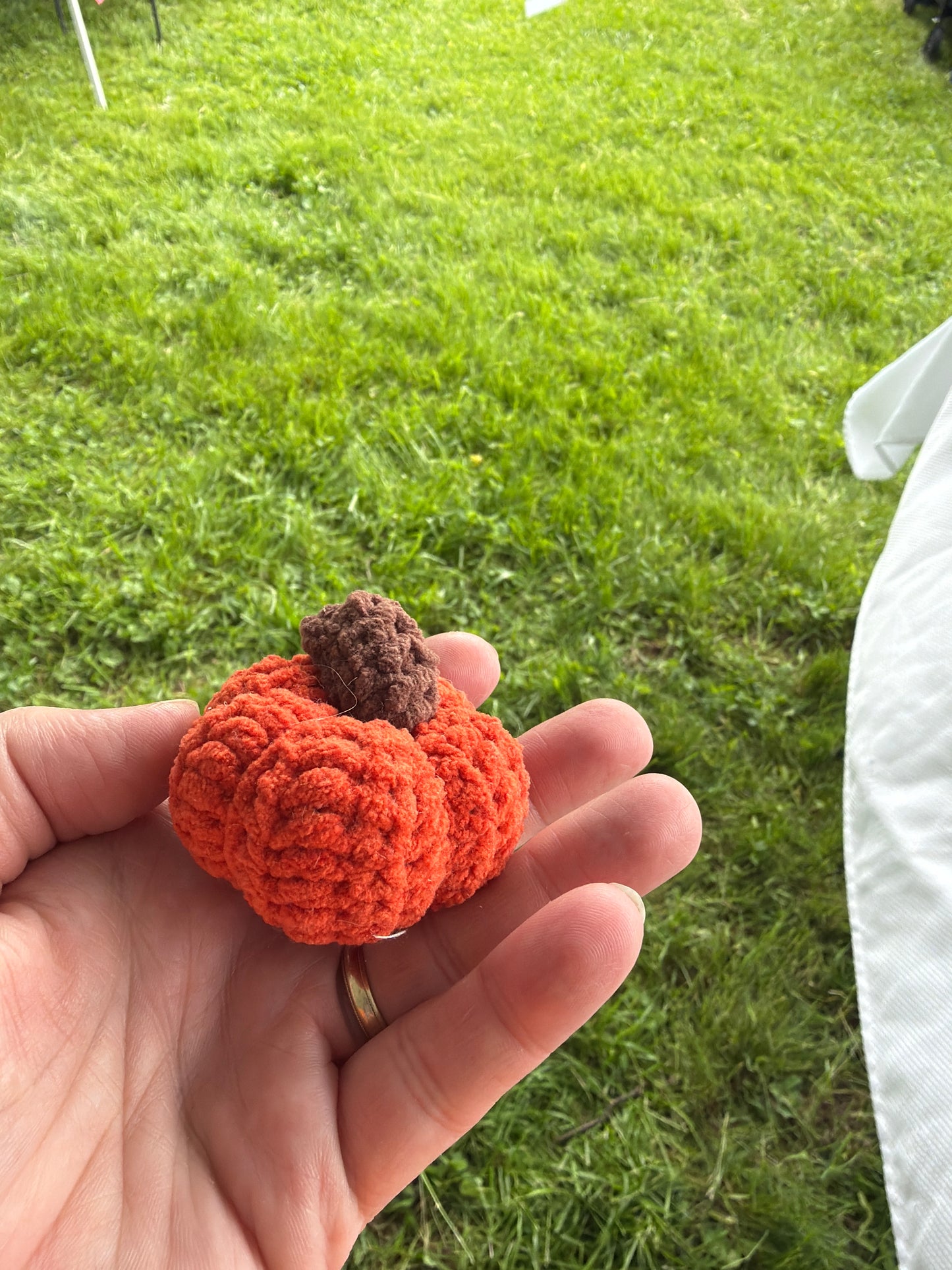 Crochet Berry Buddies