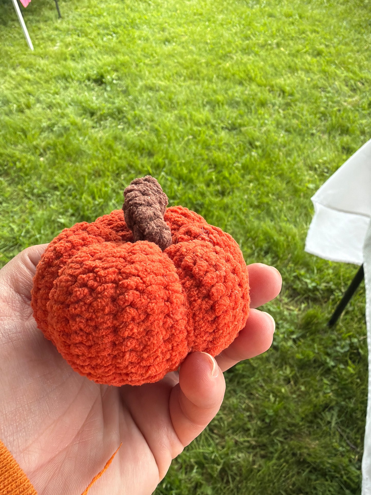 Crochet Berry Buddies