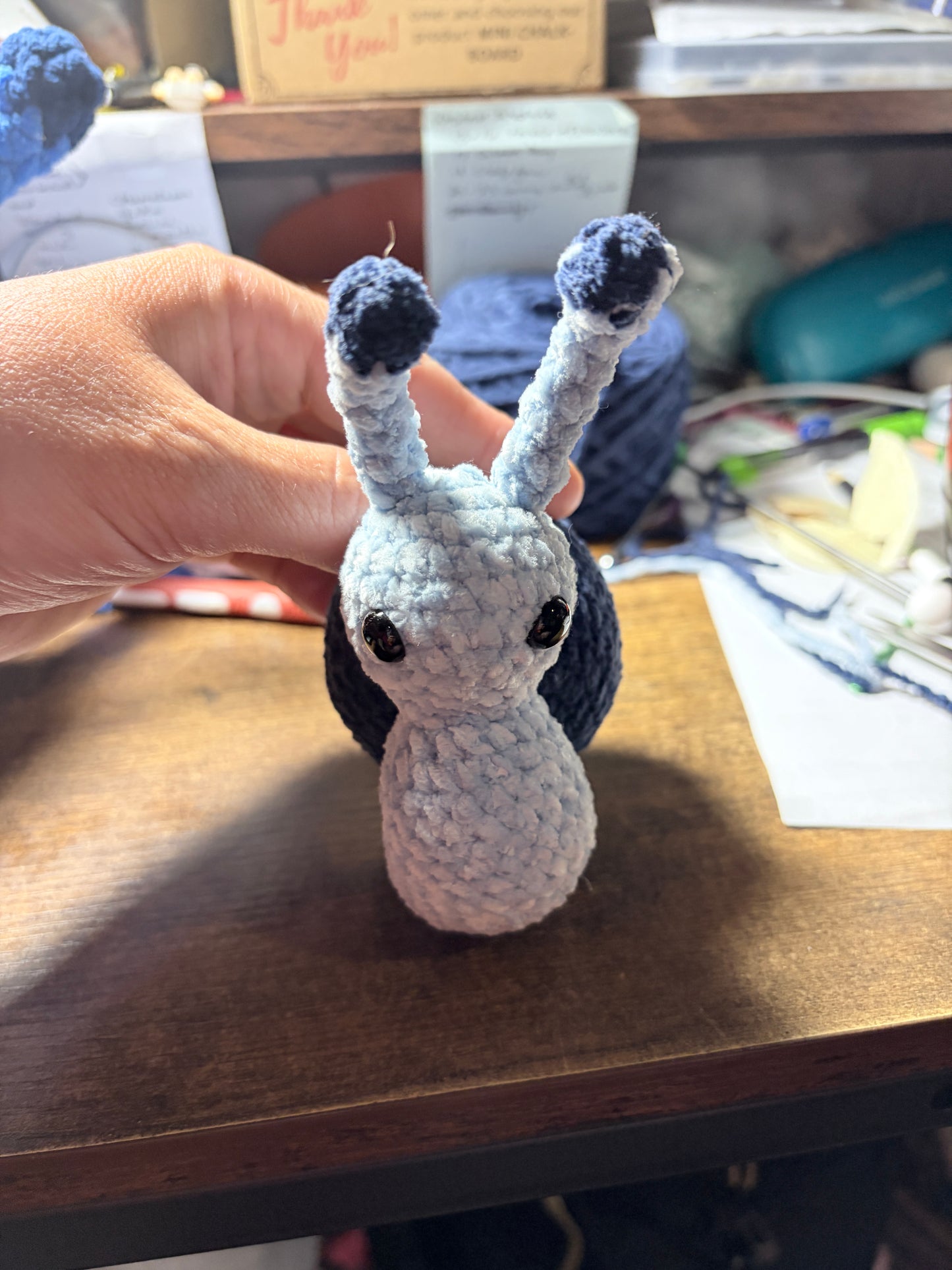 Blueberry Snail