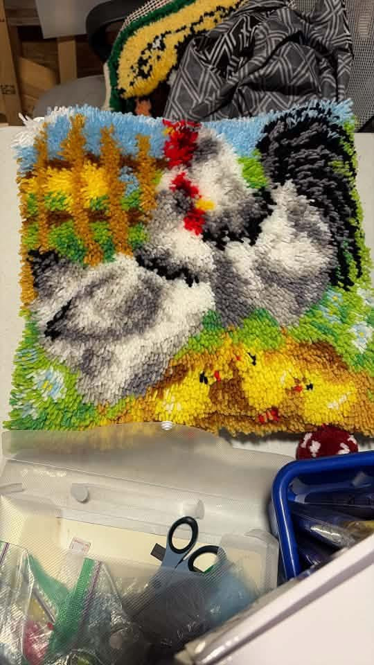 Latch hook pillow